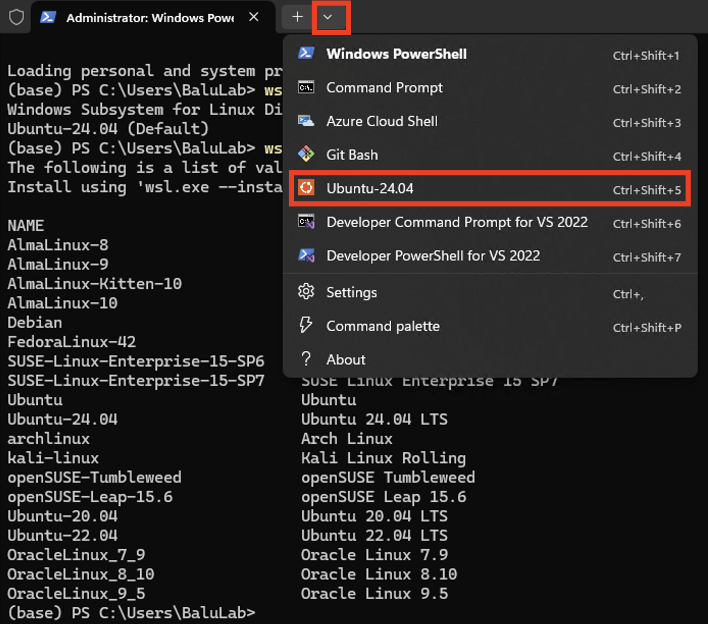 Image showing dropdown to open a new shell in PowerShell with Ubuntu-24.04 boxed.