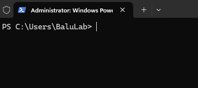 ../_images/powershell_default.png